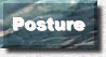 Posture Button